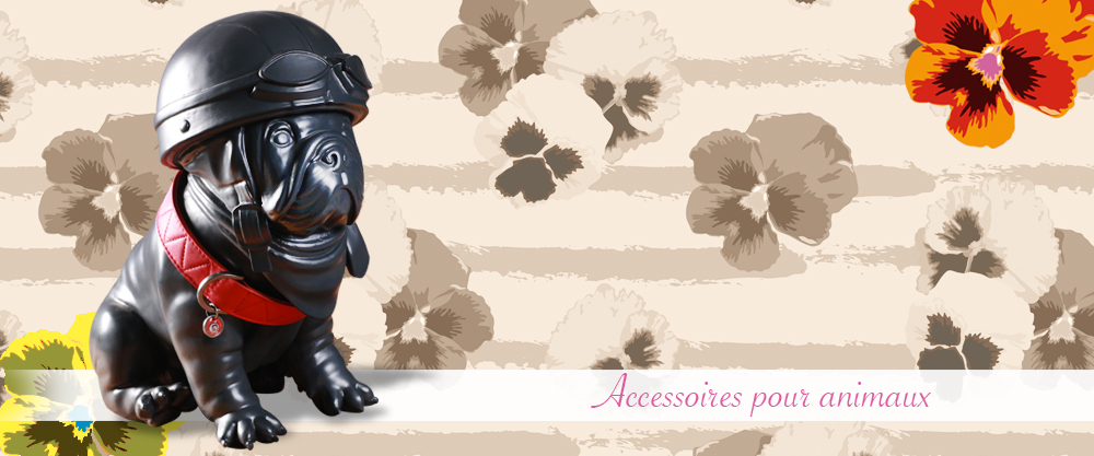 Animal Accessories Animal Accessories