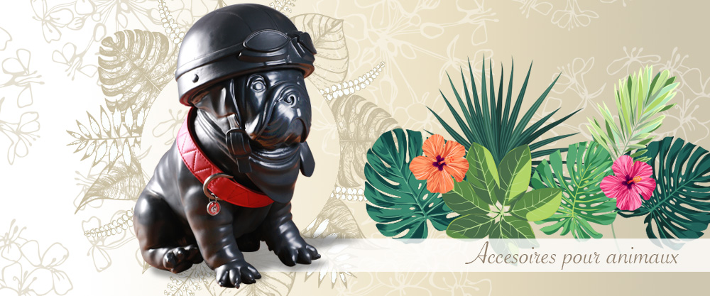 Animal Accessories Animal Accessories