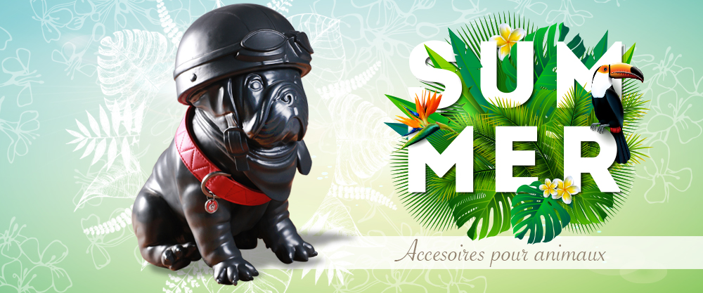 Animal Accessories Animal Accessories