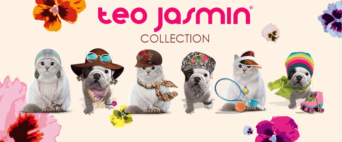 Collection Collection