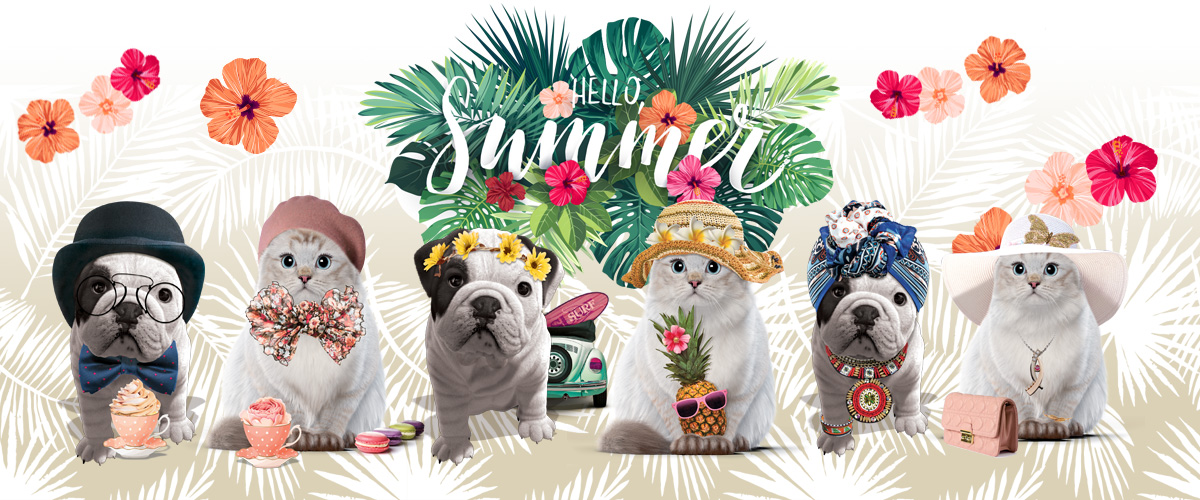 New Collection Spring / Summer New Collection Spring / Summer