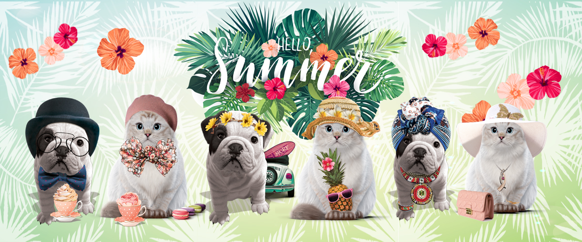 New Collection Spring / Summer New Collection Spring / Summer