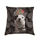 Cushion Teo Nova