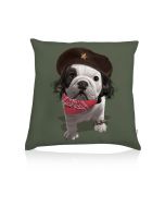 Teo Pablo cushion Teo Pablo cushion