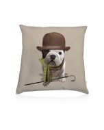 Teo Steed cushion