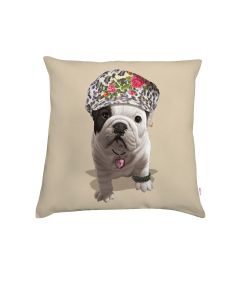 Cushion Teo Nova