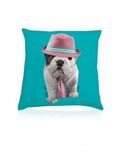 Teo Giorgio cushion