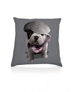 Coussin deco Teo Titi