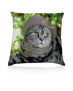 Coussin deco Che