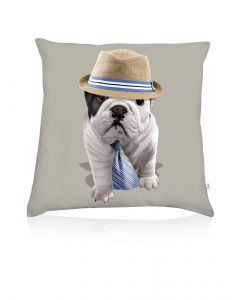 Teo Giorgio cushion