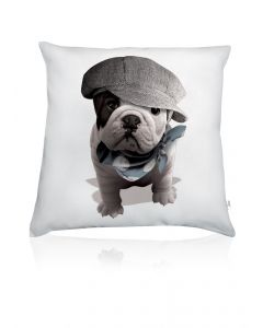 Coussin deco Teo Titi