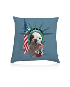 Coussin deco Teo America