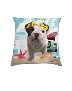 Coussin deco Teo California  Coussin deco Teo California