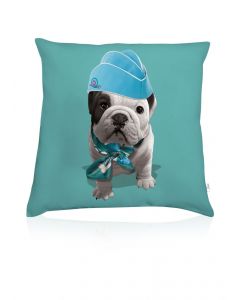 Teo Airline cushion