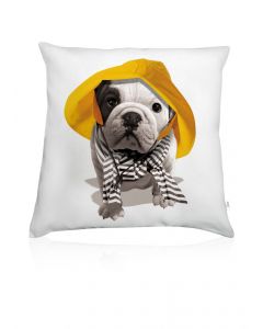 Teo Honfleur cushion