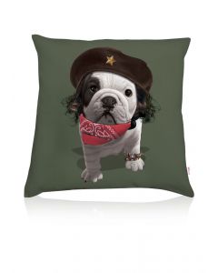 Teo Pablo cushion