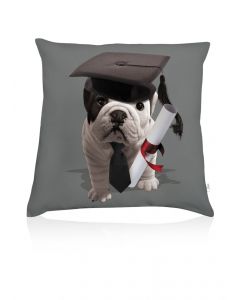 Teo High School cushion