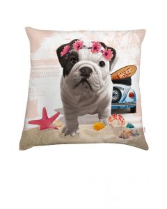 Coussin deco Teo California 