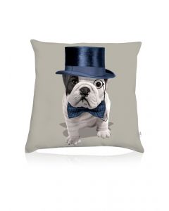 Teo Dandy cushion
