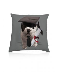 Teo High School cushion