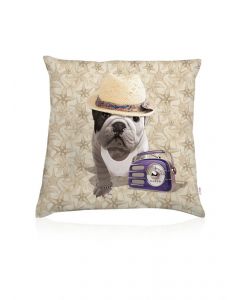Cushion Teo Labaule