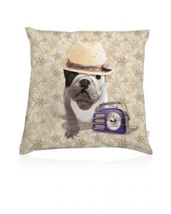 Cushion Teo Labaule