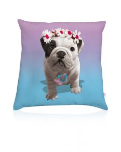 Cushion Teo Liberty