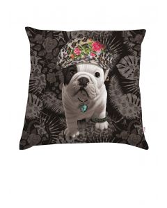 Cushion Teo Nova Cushion Teo Nova