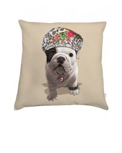 Cushion Teo Nova