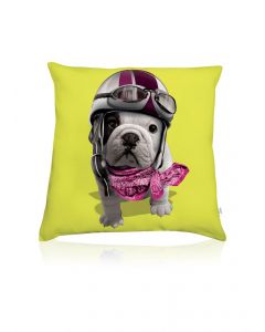 Cushion Teo Racing