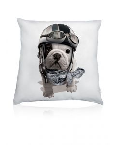 Cushion Teo Racing