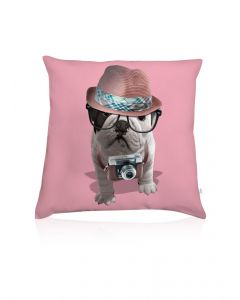 Teo Reporter cushion