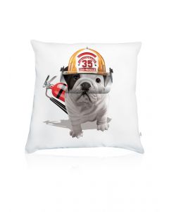 Teo Rescue cushion