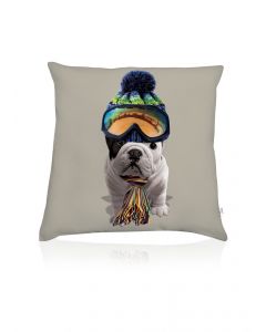 Teo Schuss cushion