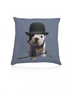 Teo Steed cushion