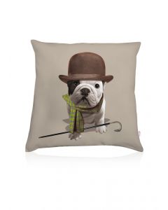 Teo Steed cushion