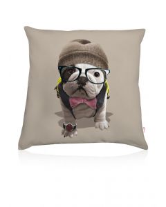 Teo College cushion