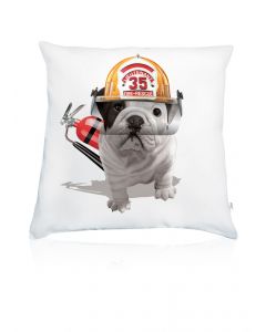 Teo Rescue cushion