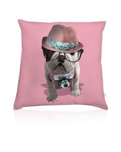 Teo Reporter cushion