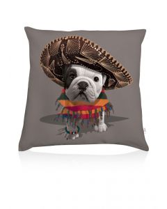 Teo Mexican cushion