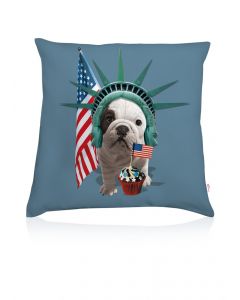 Coussin deco Teo America