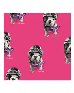 Papier cadeau rouleau 4M Teo Racing